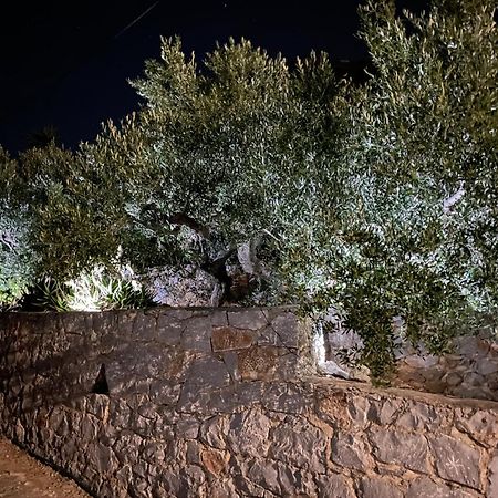 Πύργος Παραδοσιακός Με Μαγευτική Θέα - Villa Traditional Tower With Amazing Sea View Ареополі Екстер'єр фото